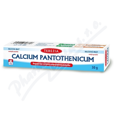 Terezia Calcium Pantothenicum Mast 30g
