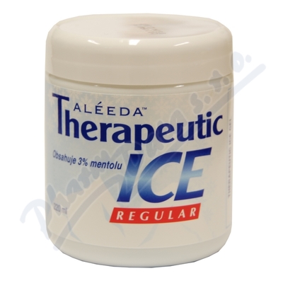 Therapeutic Ice Analgesic Gel - Masážní Gel 220ml
