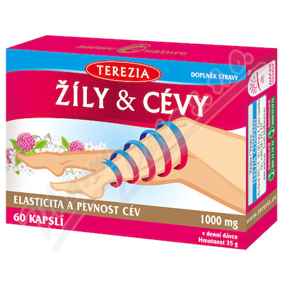 Terezia žíly&cévy Cps.60