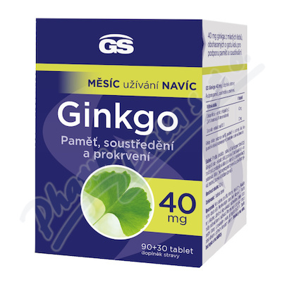 GS Ginkgo 40 mg 90+30 tablet