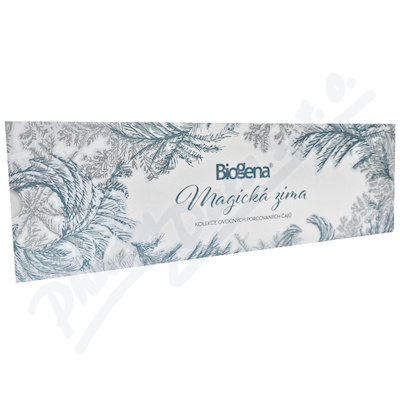 Biogena Magická zima vánoční kazeta čajů 4 x 12 ks