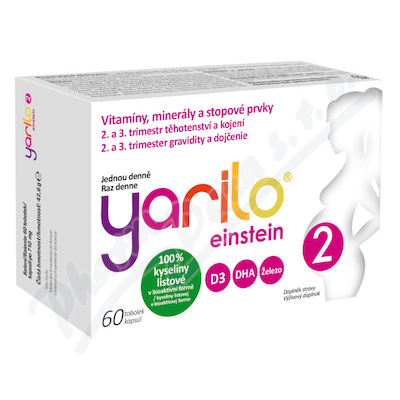 Yarilo einstein 2 60 tobolek