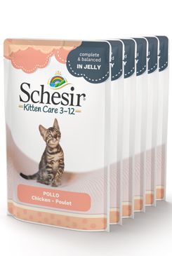 Schesir Cat Kapsa Kitten Kuře 6x85g