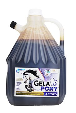 Gelapony Arthro Biosol 3000ml