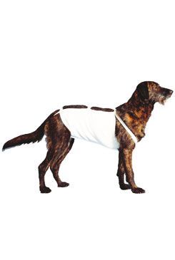 Bandáž břišní č.4 pro psy 49cm německý ovčák 1ks Cvet