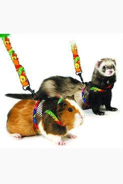 Postroj Art Joy  M králík, morče, fretka Karlie