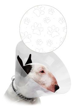 Límec ochranný Cvet Transparent tlapky 30cm 1ks