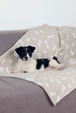 Deka pro psy Kenny béžová a kostičky 100x75cm Trixie