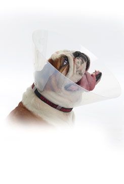 Límec ochranný Buster plastový E-collar Brachy XS