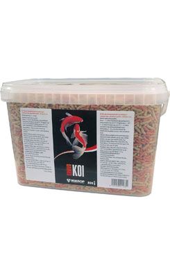 Mikrop Koi kapr 800g kyblík