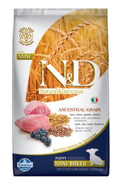 N&D LG Dog Puppy Mini Lamb & Blueberry 2,5kg