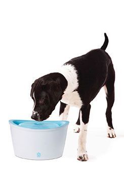 Fontána Dogit Plast velká 6 L