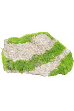 Akvarijní dekorace Kipouss kámen šedý S Zolux