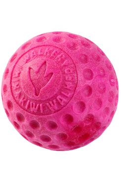 Hračka pes Ball Mini plovoucí z TPR růžová Kiwi