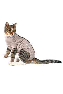 Obleček Body Suit Step N Go Cats XXXS Buster