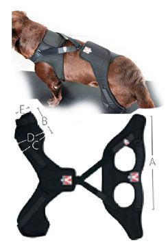 Bandáž rehab pro na koleno pes Kruuse XL levá