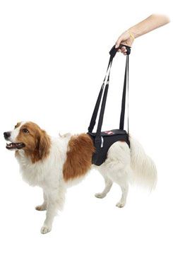 Postroj zvedací Rehab na zadní nohy XS Kruuse