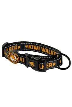 Obojek nylon 42-55cm/2,5cm oranžová Kiwi