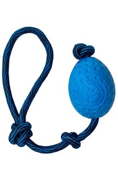 Hračka pes Egg Maxi plovací z TPR modrá Kiwi