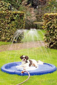 Podložka pes koupací s tryskami 100cm modrá Karlie