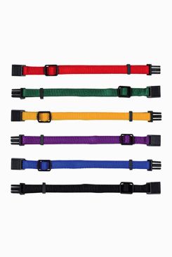 Obojek nylon pro štěňata rozlišovací černá-orchid M-L 6ks Tr