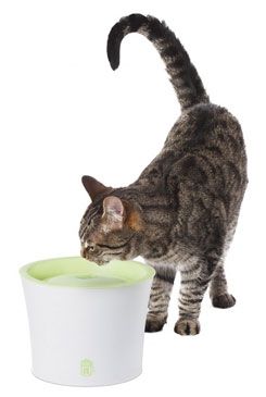 Fontána Catit plast velká 3 L