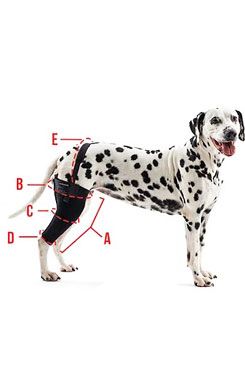 Bandáž rehab na koleno pro psa Kruuse XXS levá