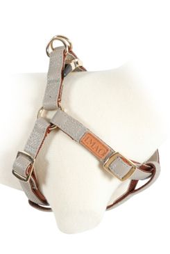 Postroj pes Mayfair nastavitelný béžový 25mm Zolux