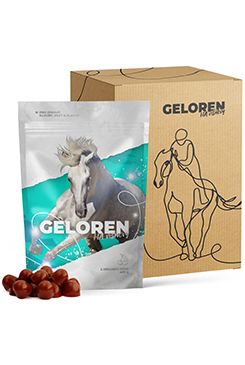 Geloren HA pro koně - višňový 1350g (3sáčky á 450g)