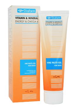 Vitamin/mineral Energy Pasta Omega 6 Taurin Pes 100g