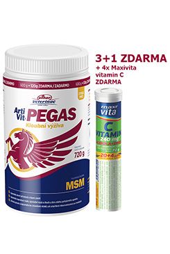 Vitar Veterinae Artivit Pegas MSM 720g