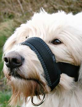 Náhubek Fixační Nylon Podložený Pes L 18-30cm Tr