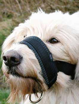 Náhubek Fixační Nylon Podložený Pes Xl 23-34cm Tr