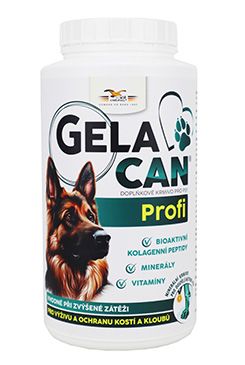 Gelacan Plus Profi 1000g