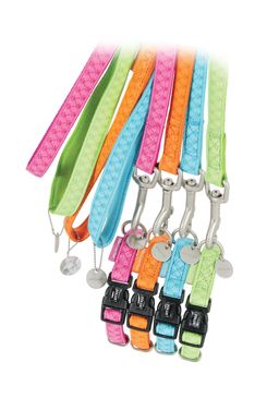 Obojek pes Mac Leather tyrkysová 25mm/45-68cm Zolux