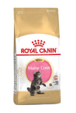 Royal Canin breed  feline kitten maine coon  400g