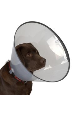 Límec ochranný Buster plastový Comfort Collar 7,5cm