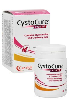 Cystocure 30g Powder Forte