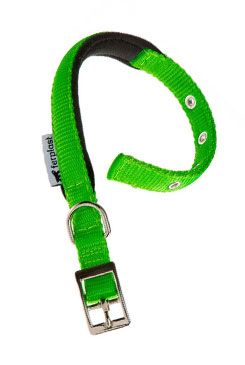 Obojek nylon Daytona C 35cmx15mm zelený Fp