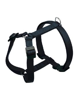 Postroj Champion P  M černá