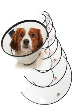 Límec ochranný Buster plastový Quick Collar set 7ks