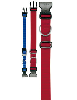 Obojek nylon Club C 32cmx10mm červený