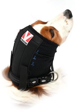 Bandáž uší a hlavy pro psa Buster XXL