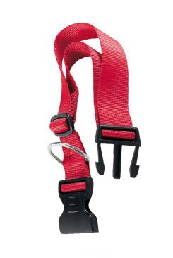 Obojek nylon Club C 70cmx25mm červený Fp