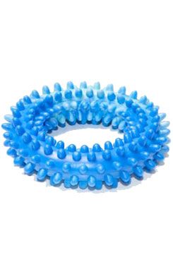 Hračka pes kruh s bodlinami plovací 14cm