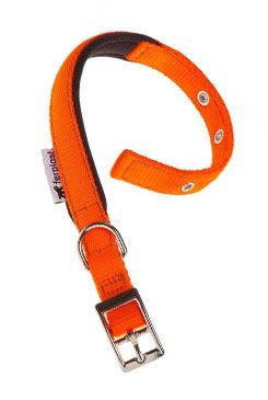 Obojek nylon Daytona C 35cmx15mm oranžový Fp