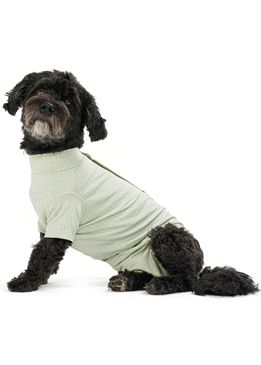 Obleček Body Suit Step N Go dog M zelený Buster