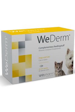 Wederm 60 kapslí