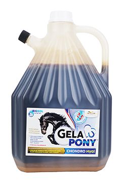 Gelapony Chondro Biosol Hyal 3000ml