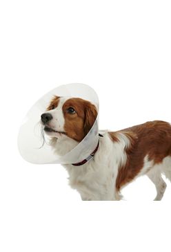 Límec ochranný Buster plastový Classic Collar 10cm